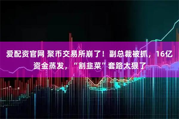 爱配资官网 聚币交易所崩了！副总裁被抓，16亿资金蒸发，“割韭菜”套路太狠了