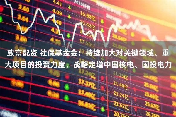致富配资 社保基金会：持续加大对关键领域、重大项目的投资力度，战略定增中国核电、国投电力